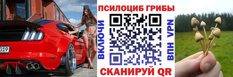 наркота  Власиха  Галлюциногенные грибы мухоморы 